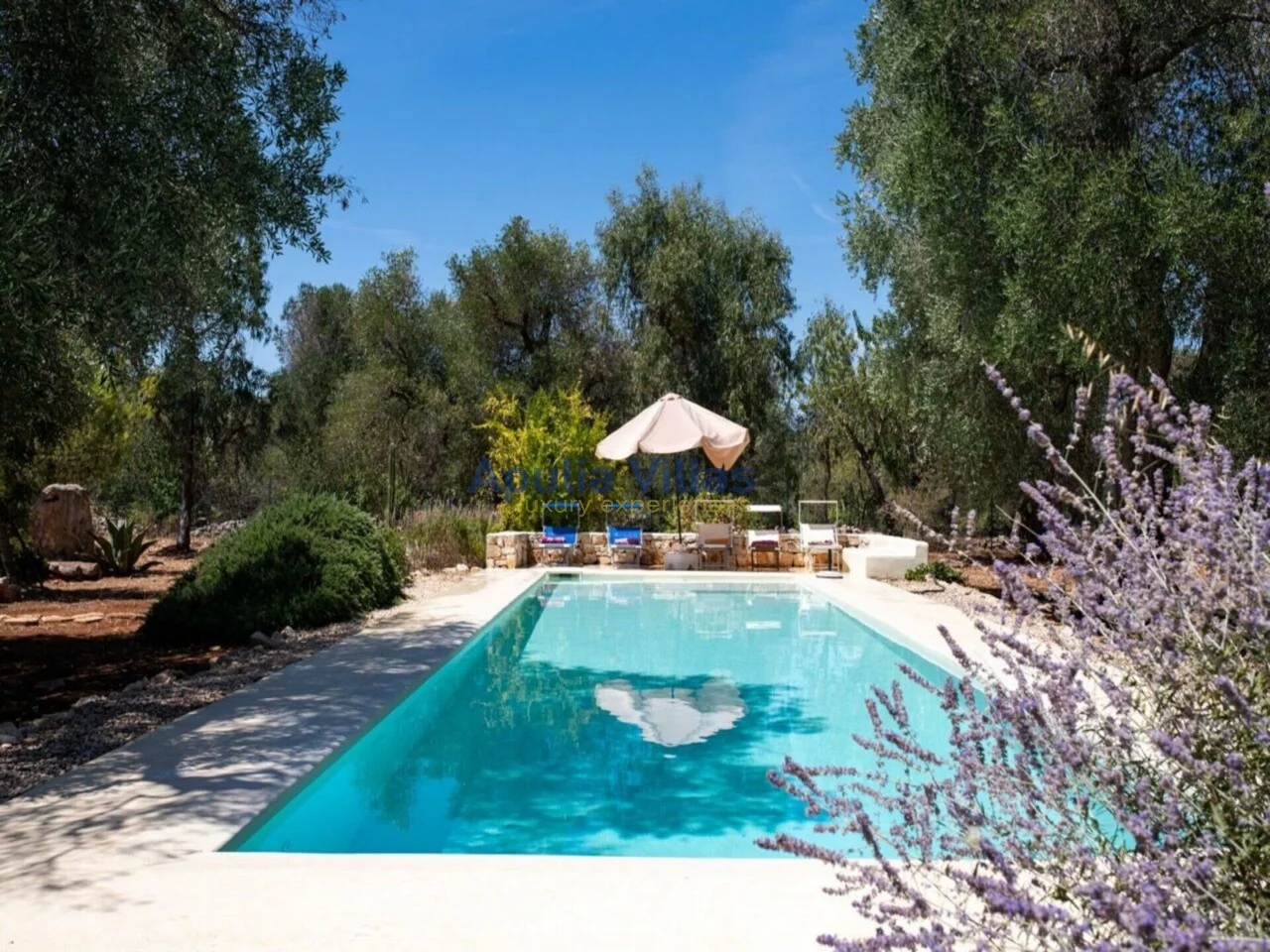 Photo 0 Trulli dell'Ulivo