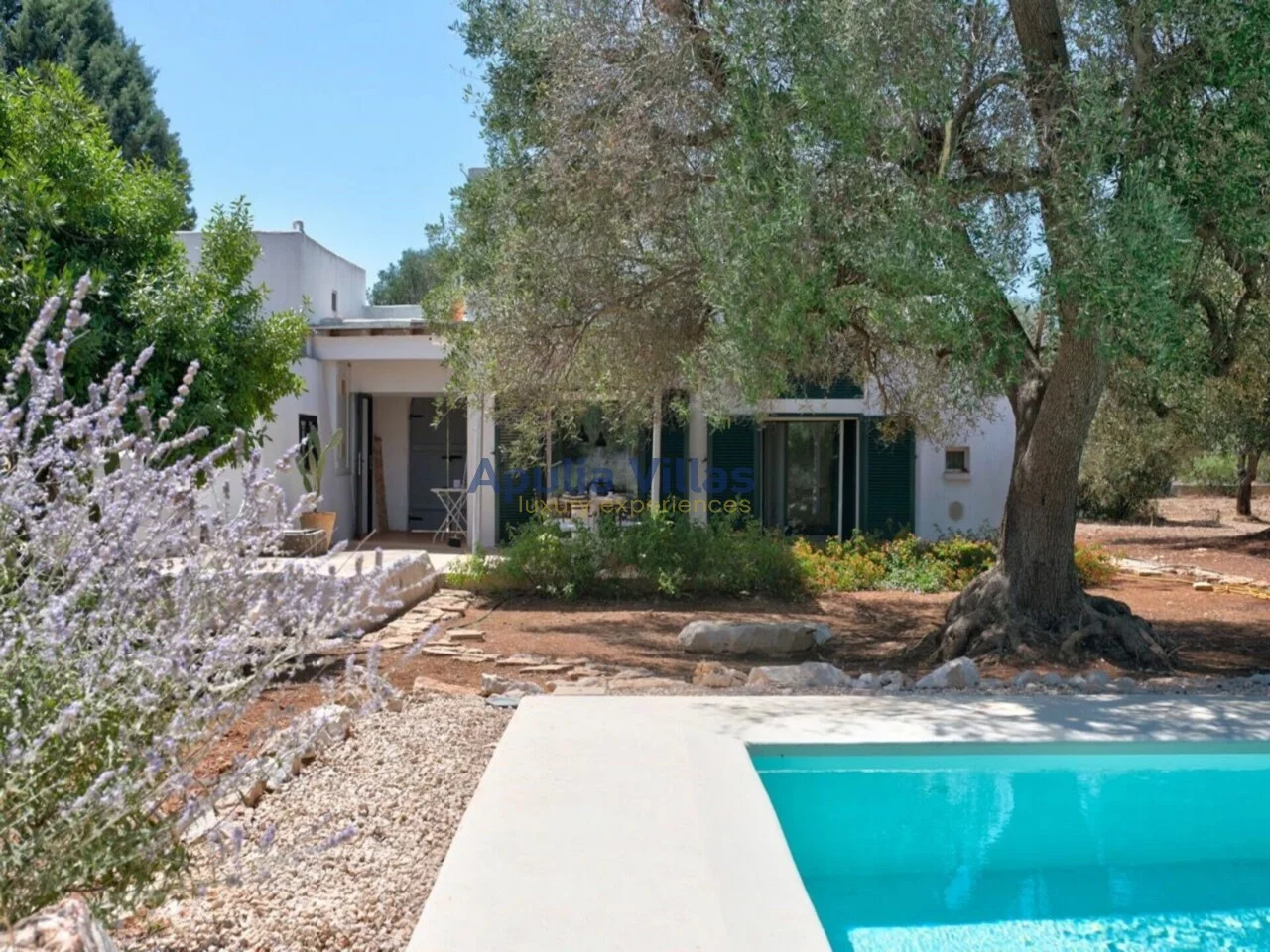 Photo 1 Trulli dell'Ulivo