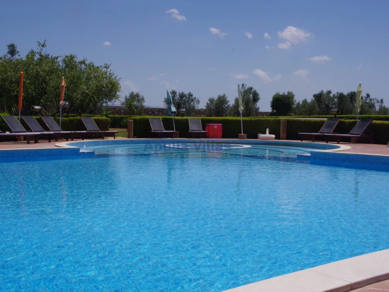 Photo 4 Tenuta Girasole