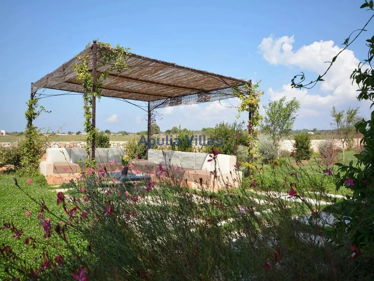 Photo 5 Villa Uliveta