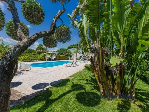 Miniatura 6 Villa Trullo Gelsi 