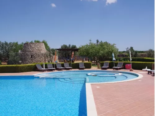 Miniatura 6 Tenuta Girasole