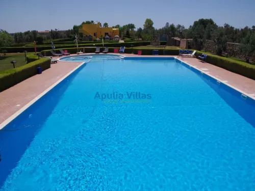 Miniatura 6 Tenuta Girasole