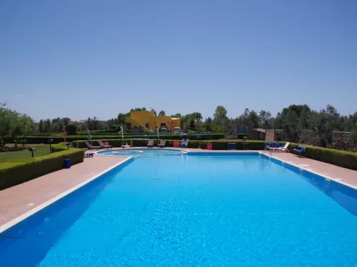 Miniatura 6 Tenuta Girasole