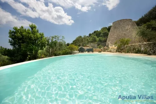 Miniatura 6 Pajara Orizzonte