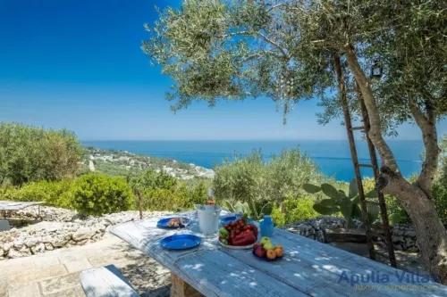 Miniatura 6 Pajara Orizzonte