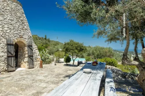 Miniatura 6 Pajara Orizzonte