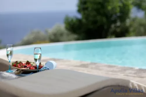 Miniatura 6 Pajara Orizzonte