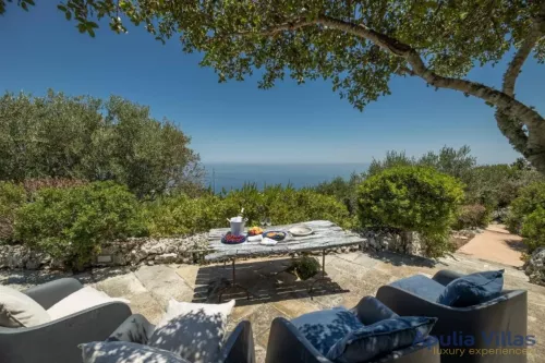 Miniatura 6 Pajara Orizzonte