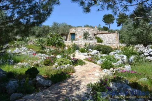 Miniatura 6 Pajara Gardenia