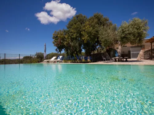 Miniatura 6 Villa Regina Elena