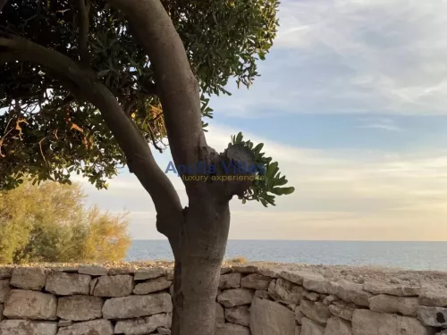 Miniatura 6 Casa Vacanze alla Corte del Sole 