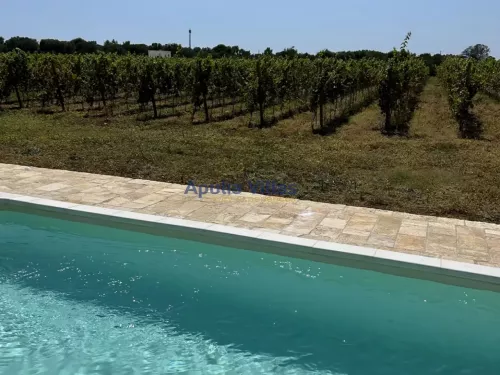 Miniatura 6 Villa la Francesca