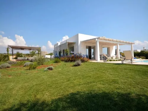 Miniatura 6 Villa Uliveta