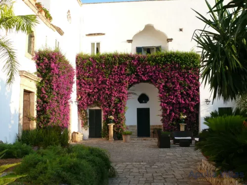 Miniatura 6 Tenuta Porto Selvaggio