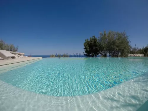 Miniatura 6 Pajara Orizzonte