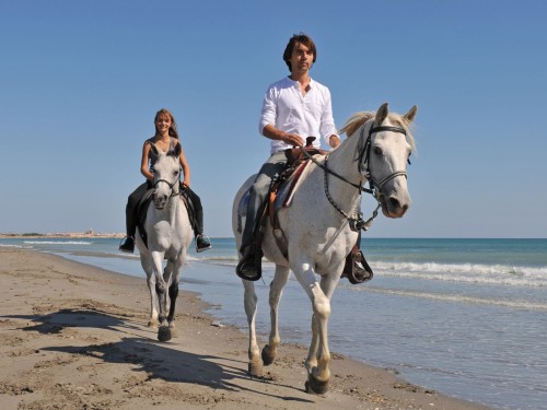 Scopri la Puglia a cavallo: un'esperienza unica tra natura e cultura